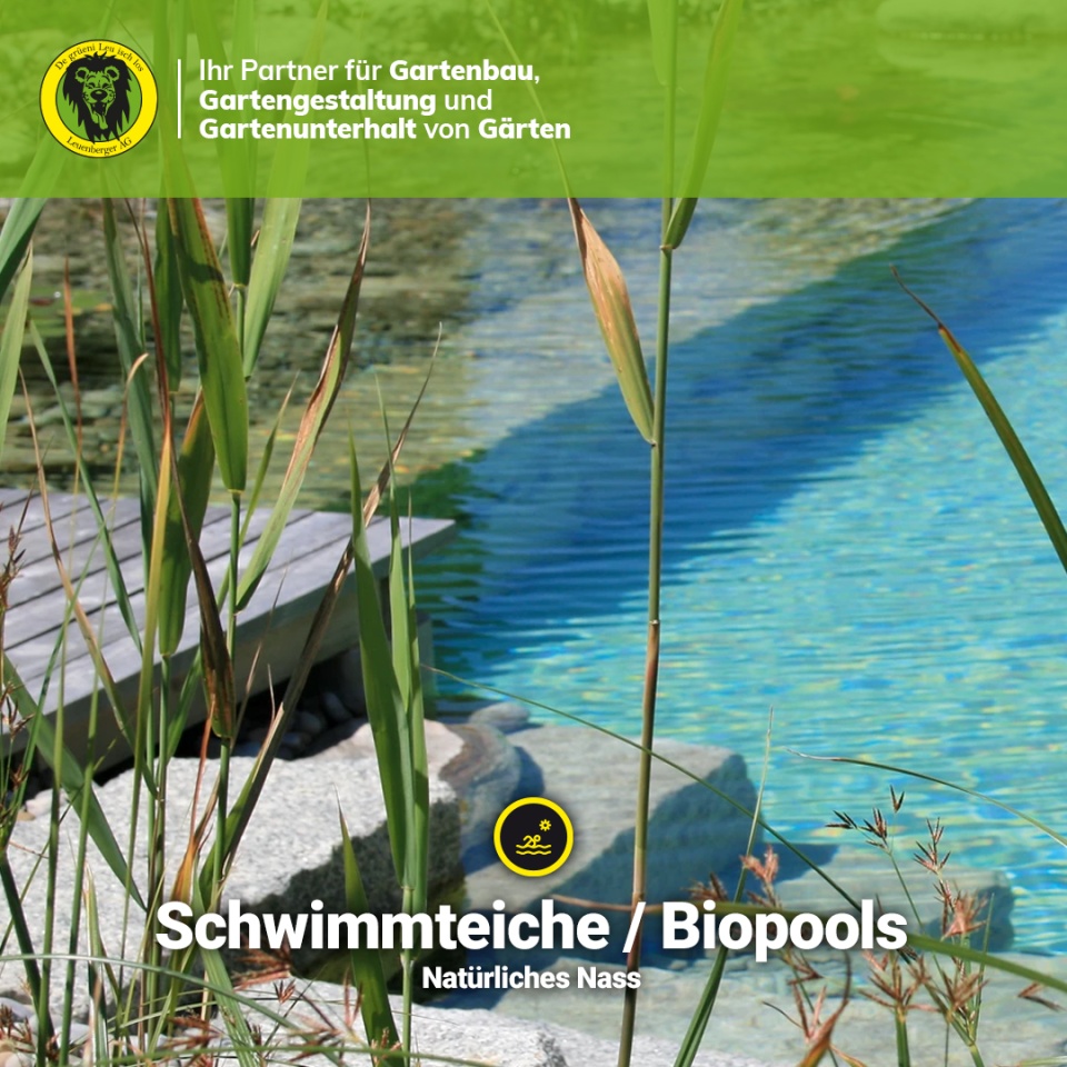 Ihr Traum vom eigenen Naturpool? Schwimmteiche & Biopools mit Leuenberger AG! - Stellen Sie sich vor: kristallklares Wasser, üppige Natur, pure Erfrischung direkt im eigenen Garten! ✨ Gemeinsam mit der Lehnert AG verwirklichen wir Ihren Traum vom Schwimmteich oder Biopool.